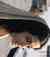 Manhattan tour guide head